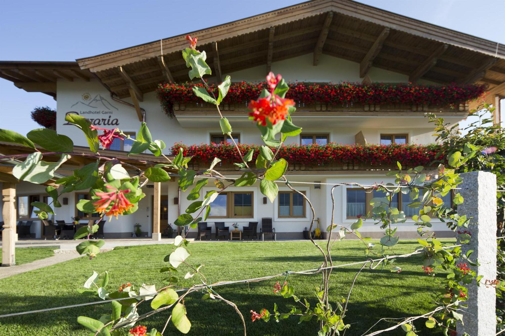 Hotel Garni Bavaria Ellmau Ngoại thất bức ảnh